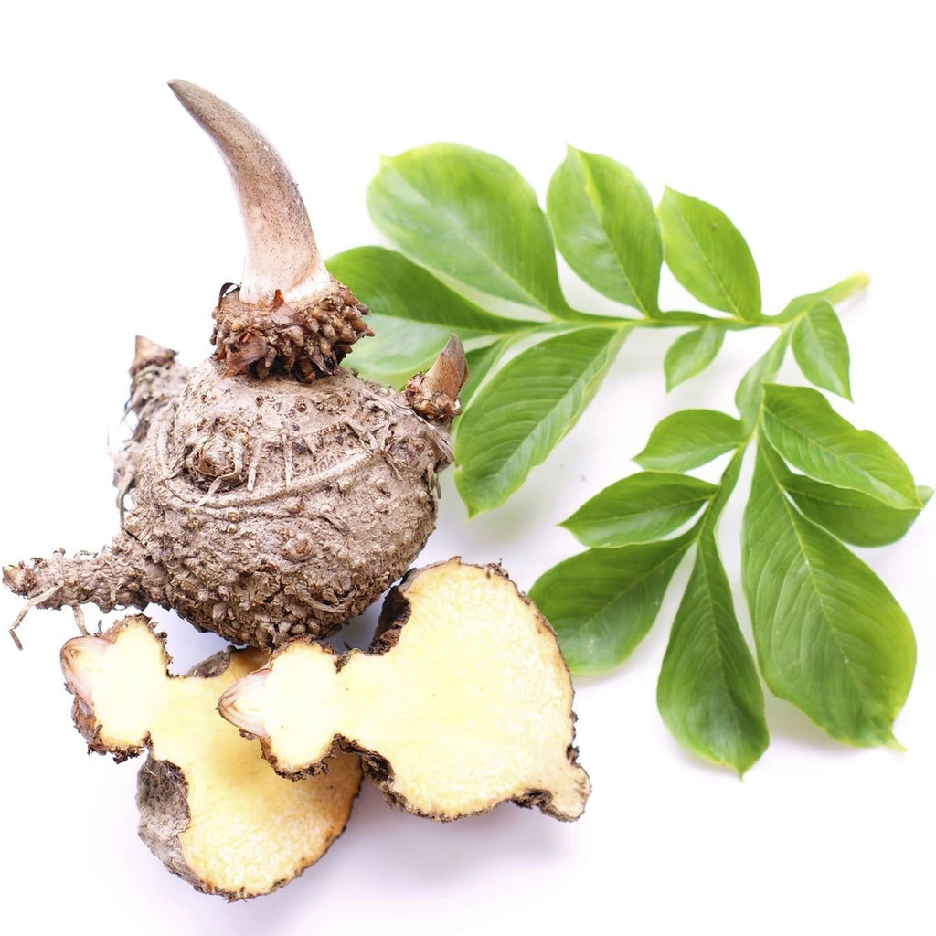 Well lean Digestion Tips
