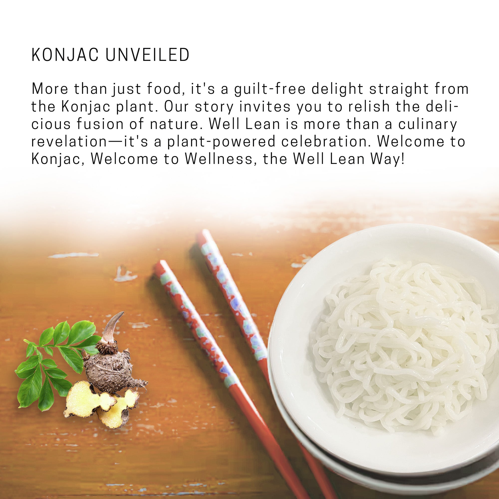 Organic Well Lean Shirataki Konjac Noodles - Pack of 12