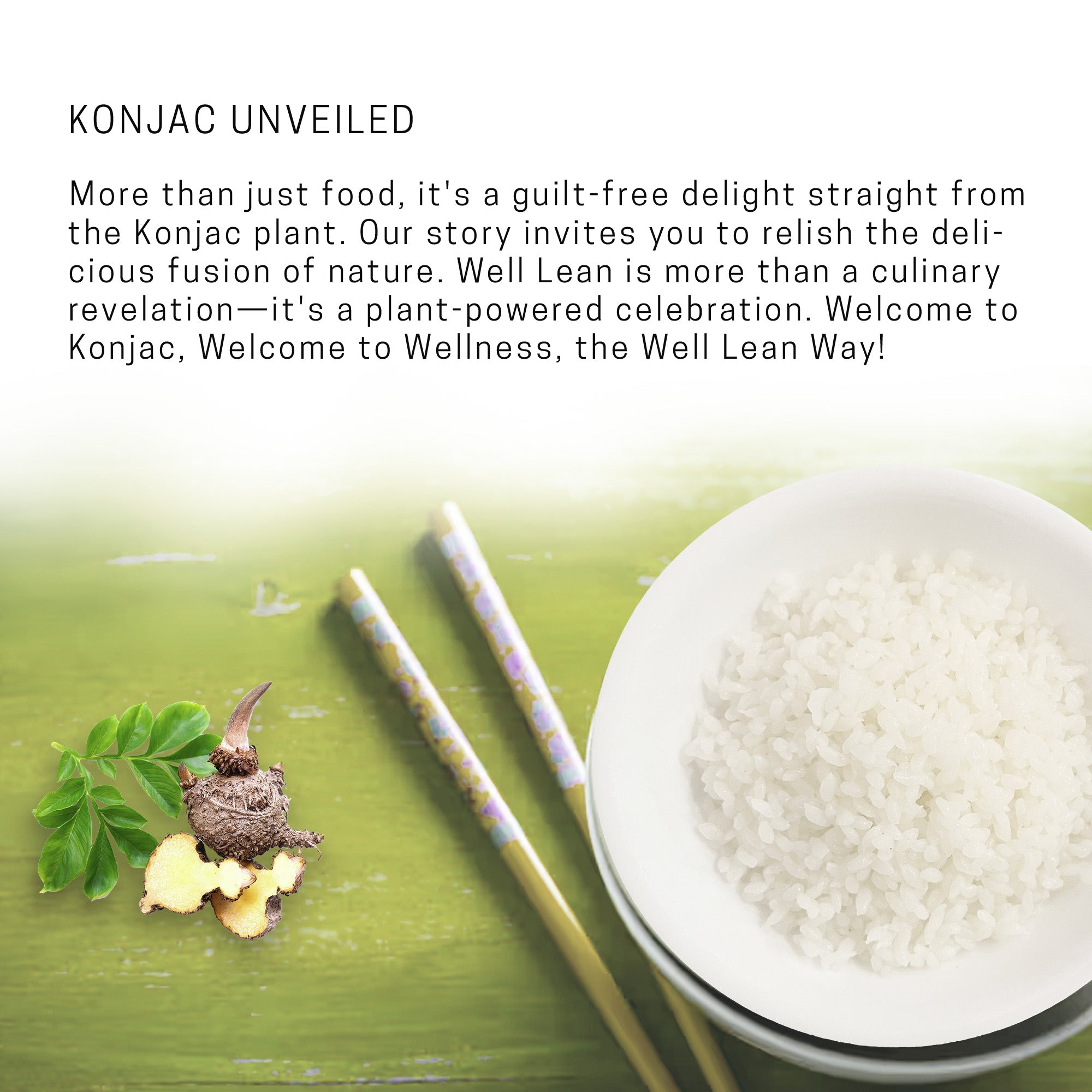 Organic Well Lean Shirataki Konjac Rice - Pack of 12